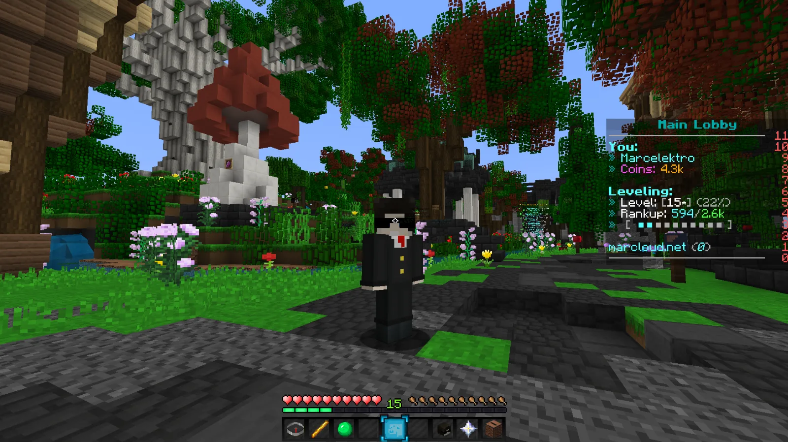 Screenshot in game